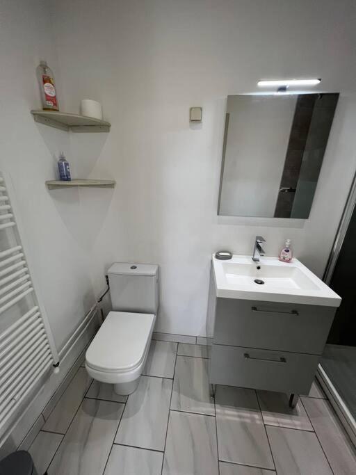 Belle Maison Quartier Henriville, Proche Centre Amiens Eksteriør bilde